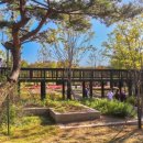 한밭수목원 이미지