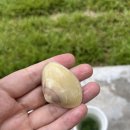 달샘홈 이미지