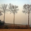 후용초등학교 이미지