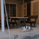 주천현대마트 이미지