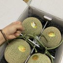 서울여성병원산후조리원 이미지