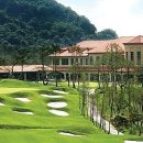 고고골프 이미지