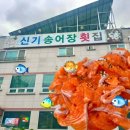 신기송어장횟집 이미지