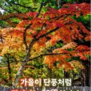 1884년 한양 이미지