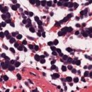 더힐동물의료센터 이미지