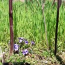 상국농장 이미지