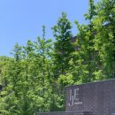 이제(IJE) 남해 이미지