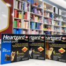 365열린큰약국 이미지