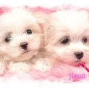 컴퓨터초보 이미지