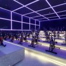 디클리셰 이미지