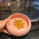 파인피드 | 강아지 건강한 한 끼, 자연화식 내추럴피드 솔직후기