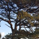 법환마을회관 이미지