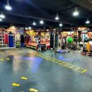 신나라 복싱클럽 이미지