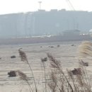 신항만도로 이미지