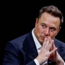 금양실업 이미지