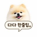 안양천 해바라기 | 서울 금천구 강아지 산책코스, 낮은 해바라기 사진 후기