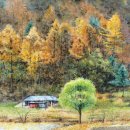 그림숲미술학원 - 천안시 서북구 부성7길 3 | 그림숲미술학원