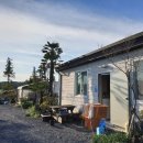 팜핑제주 이미지