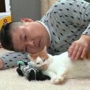 내가방 이미지