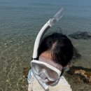 남이네식당 이미지