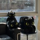 영선미용실 이미지