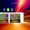 벚꽃풍선 이미지