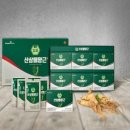 동원천지인산삼배양근 완벽 가이드
