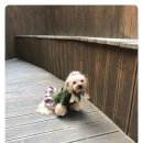 아진동물병원 이미지