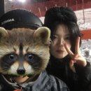 GS25춘천경강점 | 눈 오는 날 우당탕탕 스노우보드 ┃ 엘리시안 강촌, 월드스키, 남이섬, 꼬꼬닭갈비, 자잠157