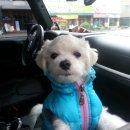 진주카센타 이미지