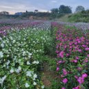 우신목장 이미지