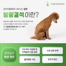 괴산동물병원 이미지