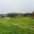 하늘목장 주식회사 이미지