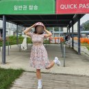 태광카정비랜드 | 평창 여행 놀거리 추천 모나 용평 루지랜드 운영시간 할인 주차 꿀팁 총정리