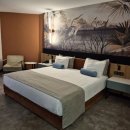 칸플러스호텔 이미지