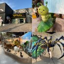 우치로 | [광주 벅스랜드]광주 패밀리랜드 실내 동물원 벅스랜드 후기