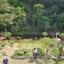 정선 베토벤 펜션 이미지