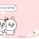 스페이스플로라 이미지