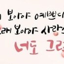 자세히 보아야 예쁘다 이미지