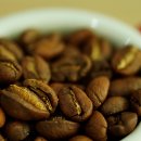 디벨롭커피로스터스 | 탄자니아 키보AA 킬리만자로 커피원두 / TANZANIA KIBO AA KILIMANJARO Coffeebeans