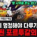 중국자본이 삼켜버린 유럽의 병자 " 포르투칼" ...남의 얘기가 아닙니다 이미지