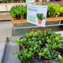 농협본점 이미지