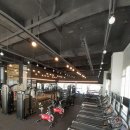 바디체인지 휘트니스 | 지족동헬스장 체계적인PT 마음에드네 바디체인지휘트니스