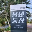 물댄동산 통나무펜션 이미지