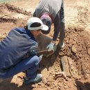 파평체육공원(야구장) 이미지