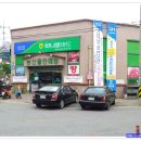 메디팜리본약국 Daum카페