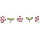 압구정-113 이미지