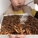 이슈♡화제 - 맛﻿있게 벌레를 먹는 중국 여성 이미지