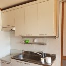 구재봉자두중서 이미지