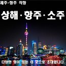 푸른항공 여행사